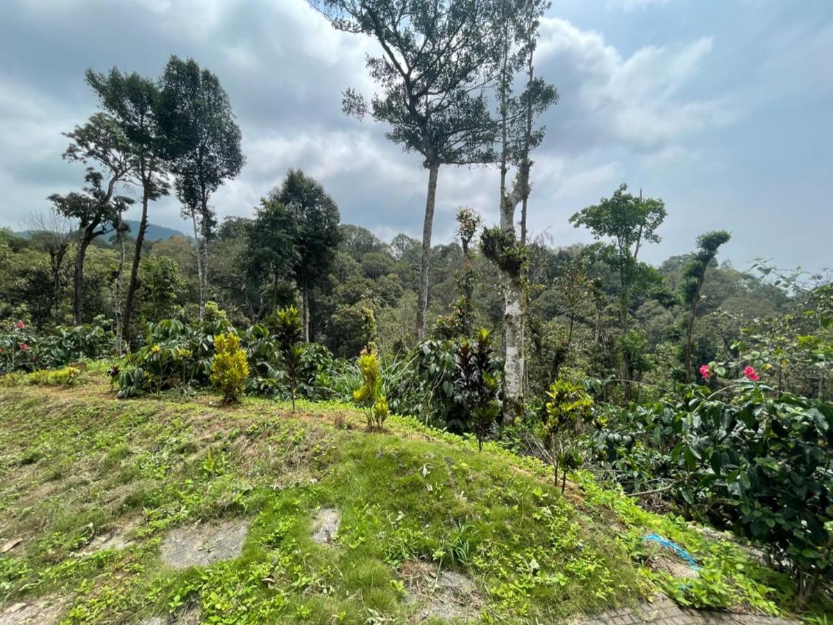 הוילה מדיקרי Rai'S Coorg Cave House מראה חיצוני תמונה